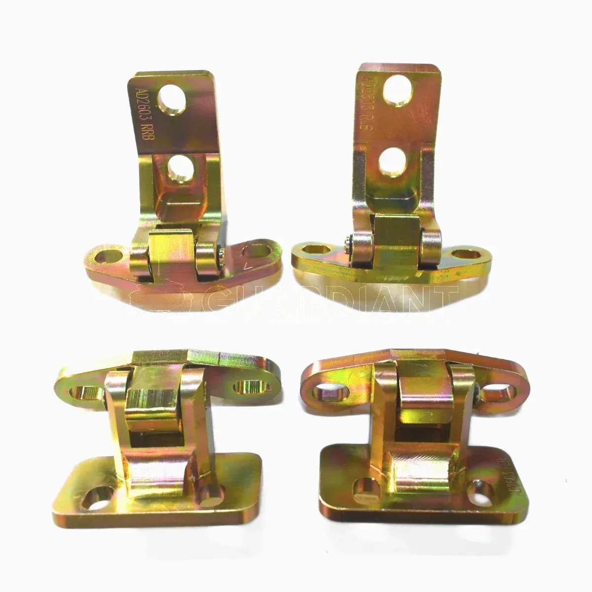 Hinges for TLC 300